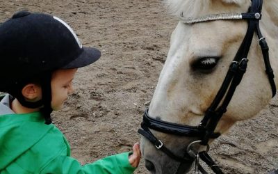 Hevosten hoitaminen on osa ratsastamista